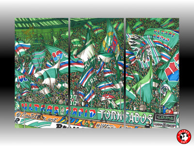 Rapid Leinwand-Dreiteiler "Ultras"